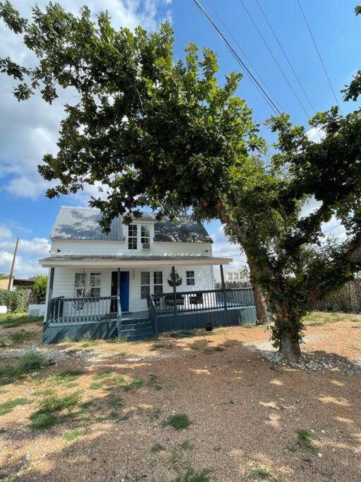 The Paddock House At Blanco Texas Vila Exterior foto